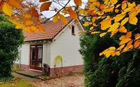 Dennenhuis